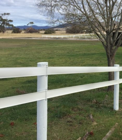 2 rail white horse fence