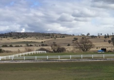 white horse fence tasmania