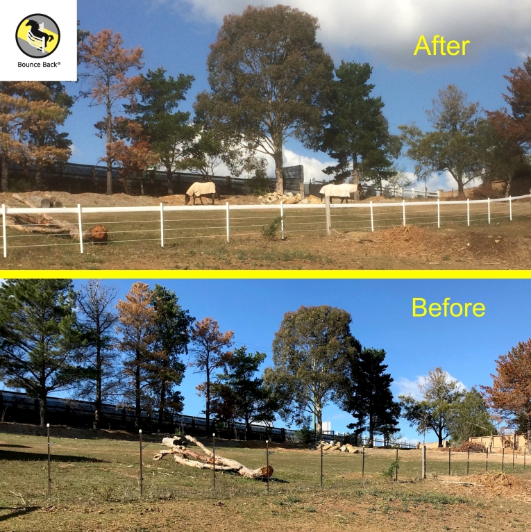 transform your horse fence with star picket sleeves